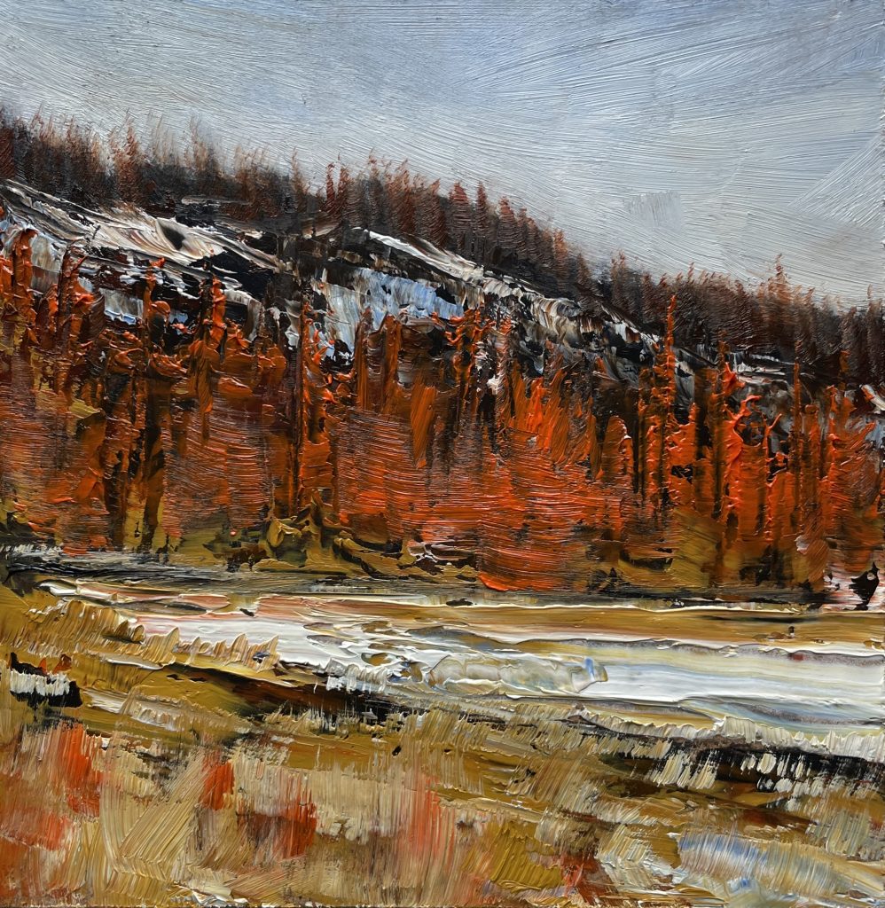 Tamarack Hills - Late Autumn