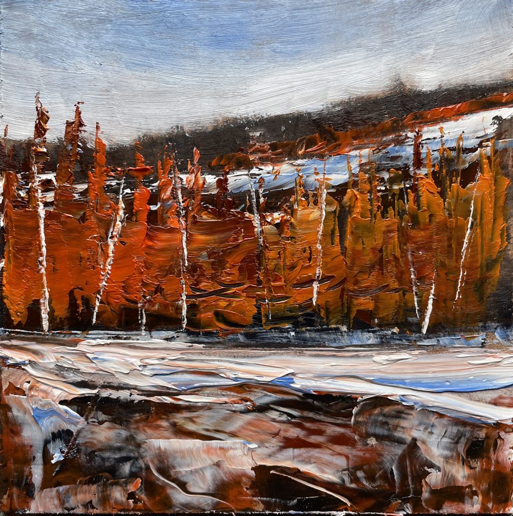 Tamarack Hills - Early Winter