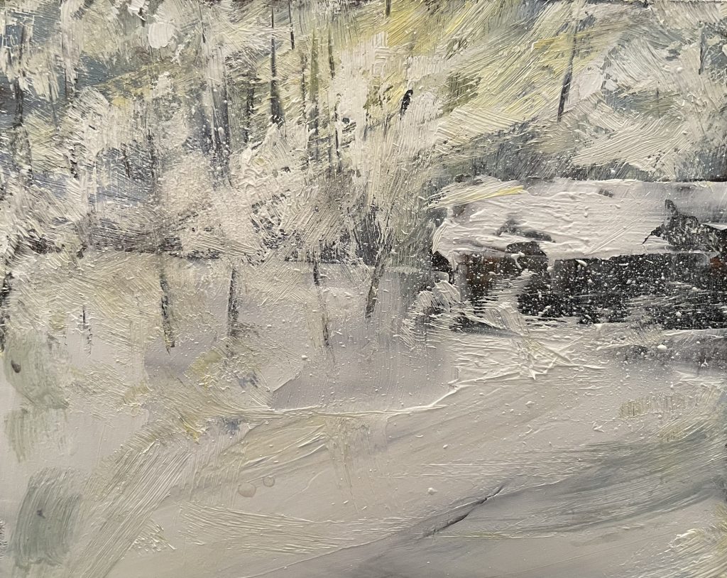 Shelter from the Storm